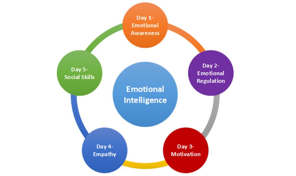 Emotional Intelligence - Four Lenses .. in Hayward CA thumbnail